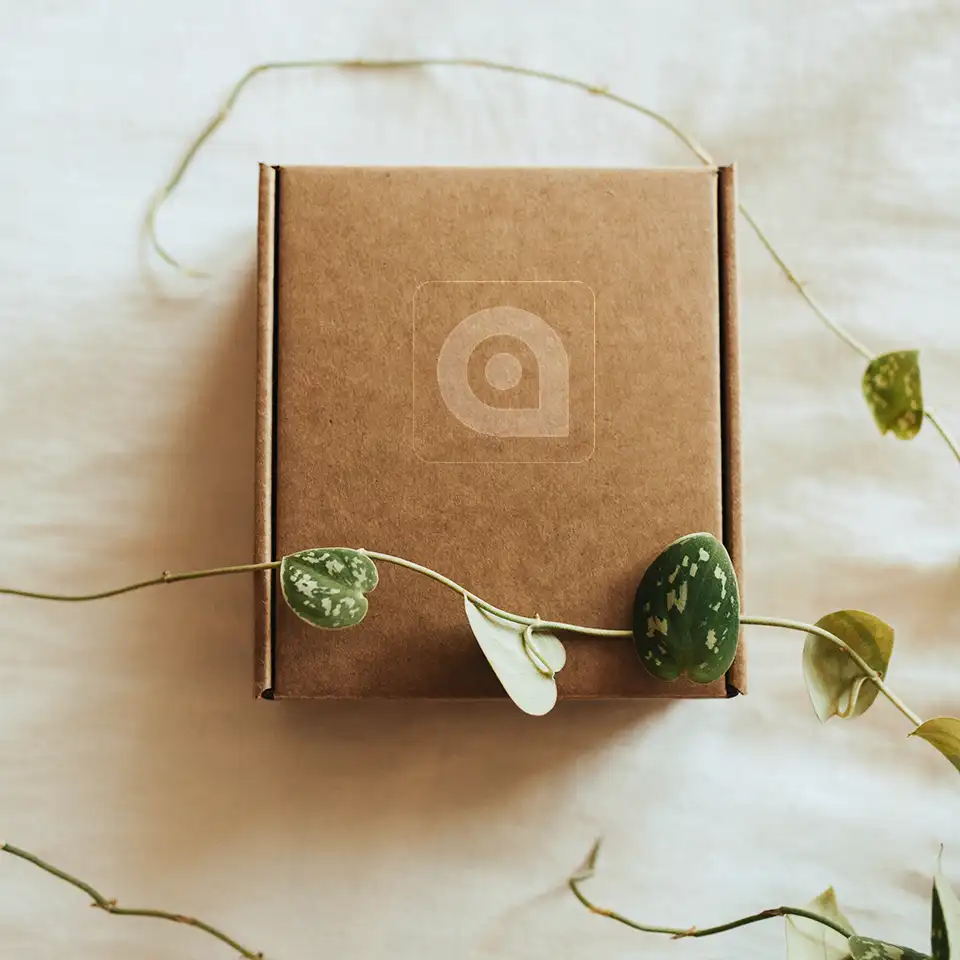 Verpackung aus Pappe mit Avatar logo für den VErsand, veredelt, nachhaltig